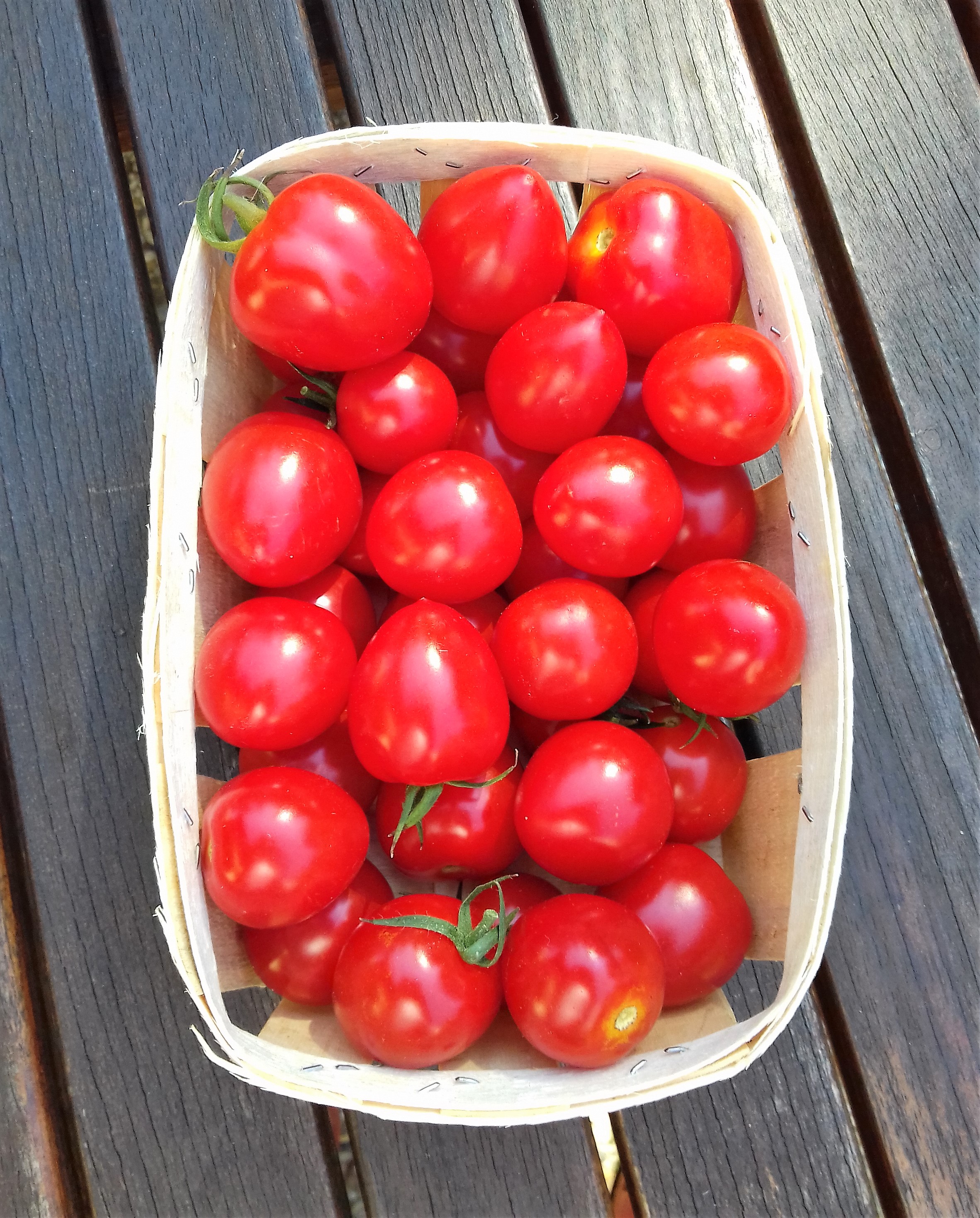 rajciny tomatoberry gardenberry