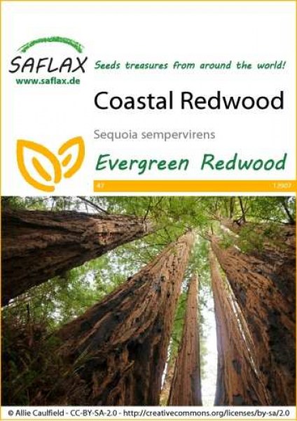 12907-sequoia-sempervirens-seed-package-front-cr-english