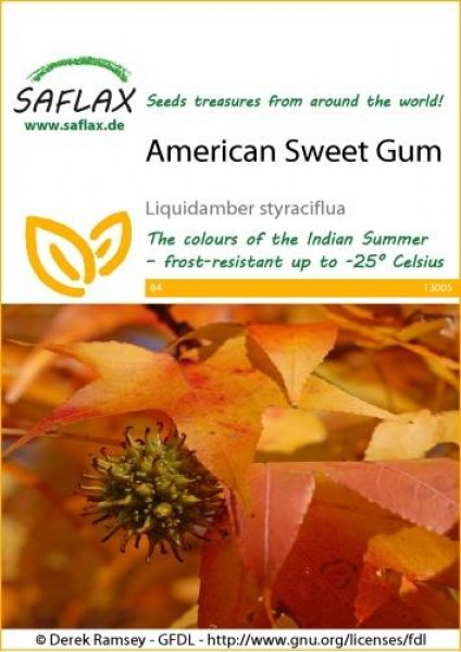 13005-liquidamber-styraciflua-seed-package-front-cr-english