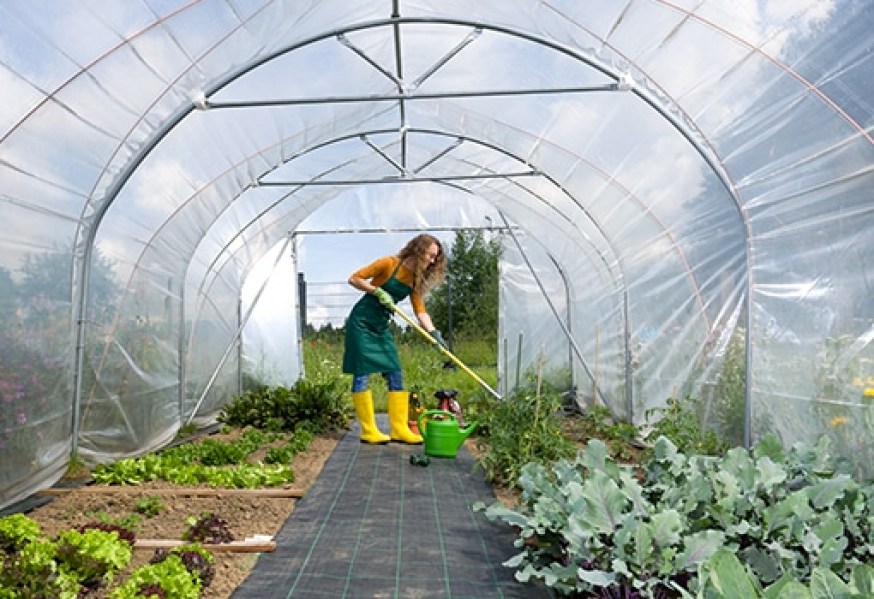 Römi-Start-Up-Ansicht-aus-Tunnel-raus