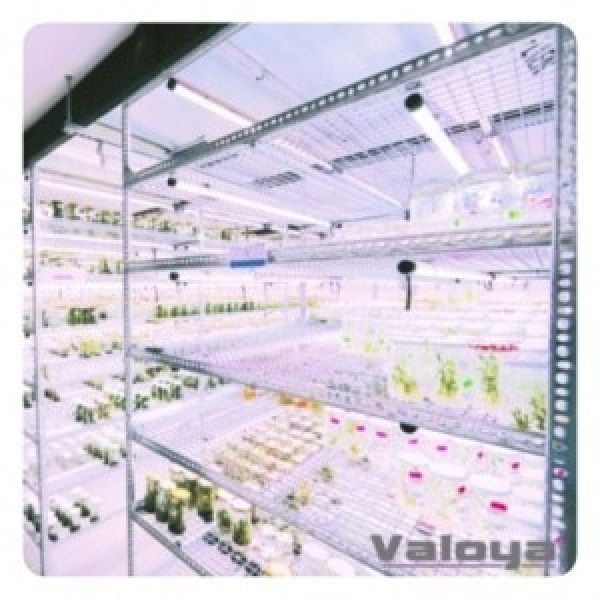 Valoya_Poster900pix.jpg