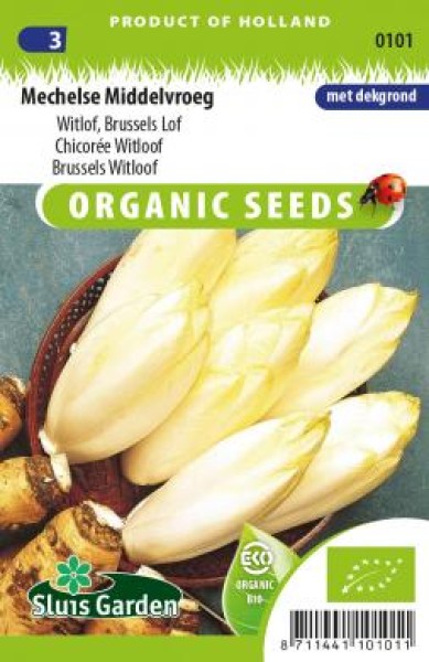 BIO čakanka - čakankové puky semená