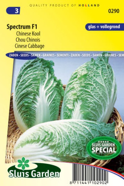 semena cnska kapusta zeleniny kvetov bylinky sadit pestovat rajcin paprika uhoriek bazalka jahody