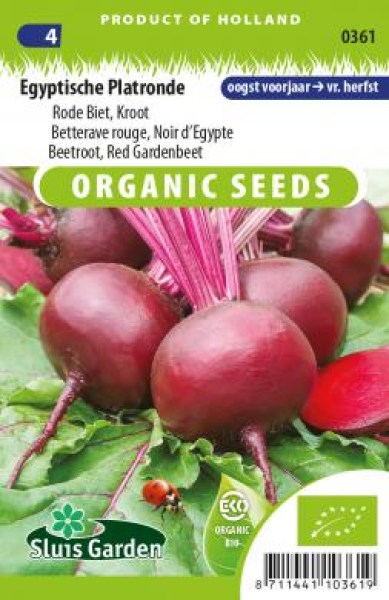 cervena repa, semena cervenej repy, semena cvikly