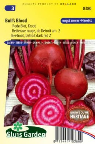 červená repa, semená repy, semená, pásikavá repa, repa s bielymi krúžkami 