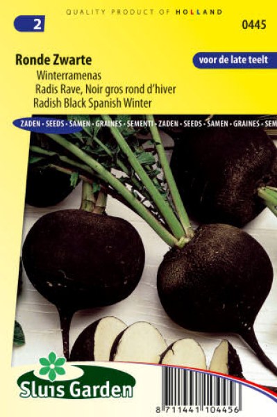 Reďkovka čierna guľatá zimná