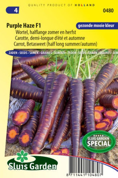 semena fialovej mrkvy