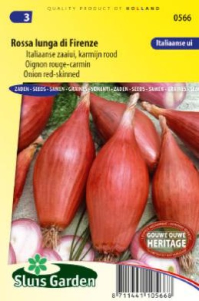 cibuľa, červená cibuľa, veľká cibuľa, podlhovastá cibuľa, dlhá cibuľa, semená, semená cibule,