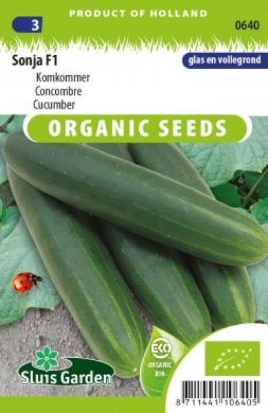 bio uhorky, semená uhoriek, bio semená, semená, uhorky, šalátové uhorky