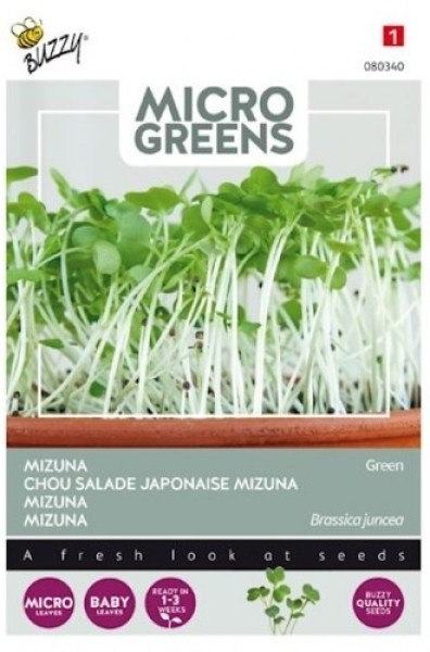 080340!560x560_500x500