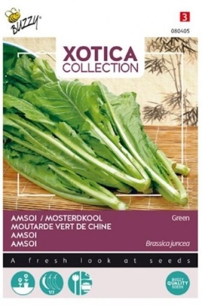 080405!560x560_500x500