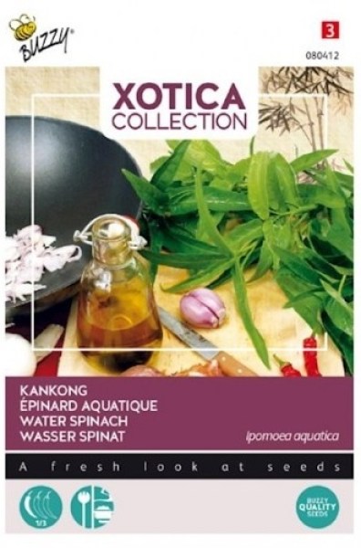 080412!560x560_500x500