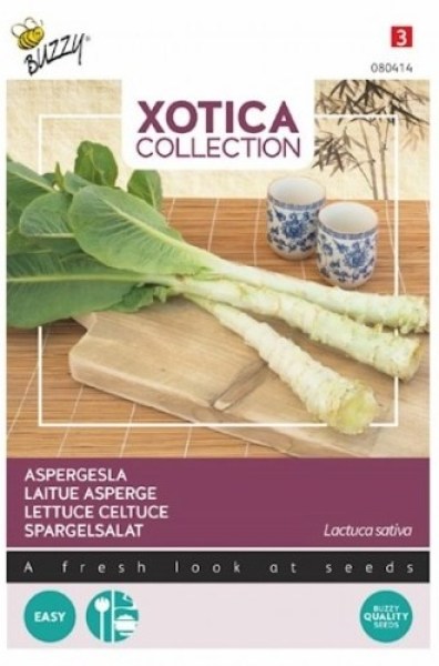 080414!560x560_500x500