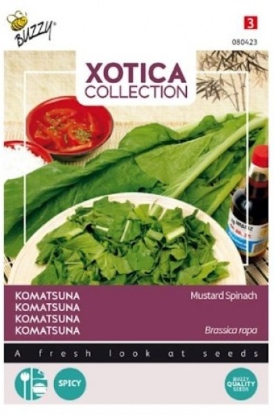 080423!560x560_500x500