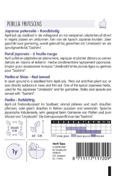 semená perilly fialovej