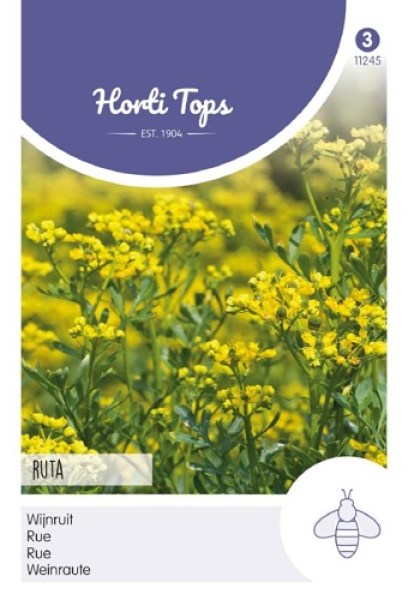 ruta, semená ruty, semená byliniek,