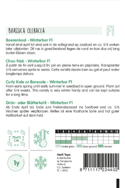 Semená kučeravý kel listový Reflex F1 cca 50 semien