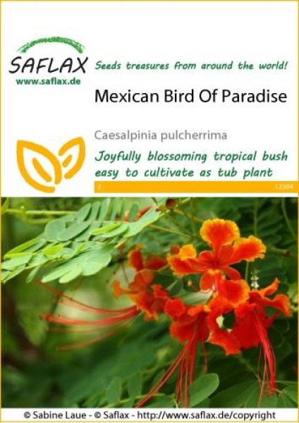 12304-caesalpinia-pulcherrima-seed-package-front-cr-english