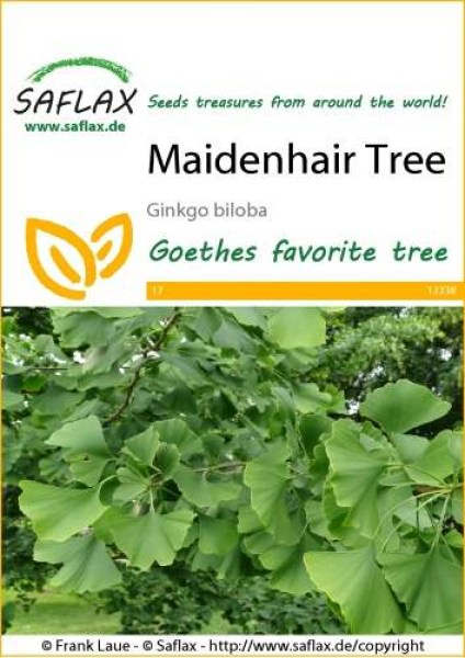 12338-ginkgo-biloba-seed-package-front-cr-english