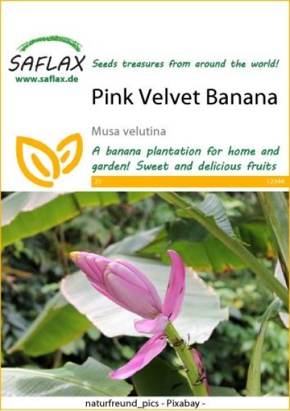 12344-musa-velutina-seed-package-front-cr-english