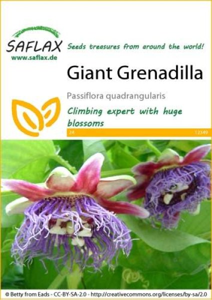 12349-passiflora-quadrangularis-seed-package-front-cr-english