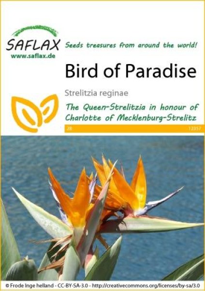 12357-strelitzia-reginae-seed-package-front-cr-english