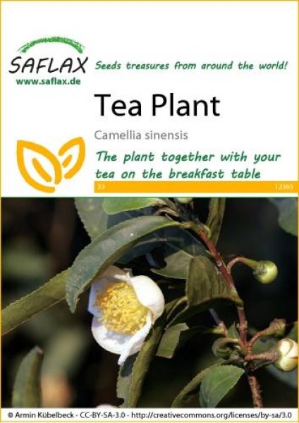 12365-camellia-sinensis-seed-package-front-cr-english