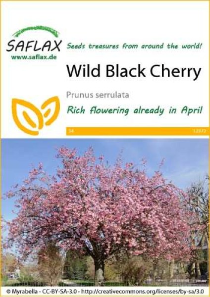 12372-prunus-serrulata-seed-package-front-cr-english