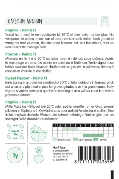 Paprika Solero, semená papriky, blocky paprika,