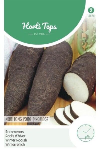 Zimná reďkovka, čierna reďkovka, Black Spanish Long,