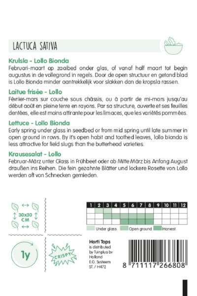 Šalát listový, Lollo Bionda