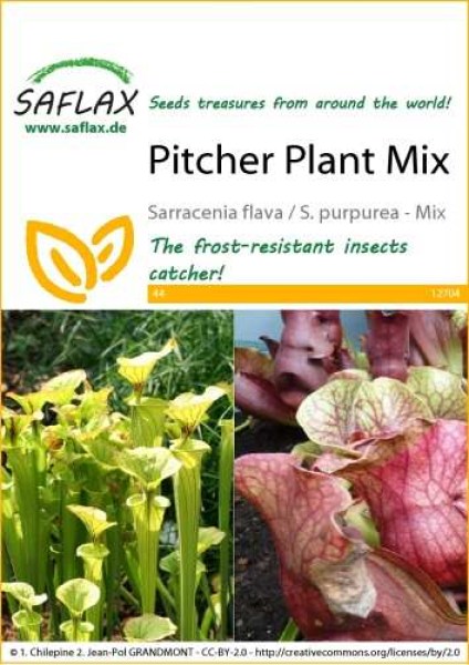 12704-sarracenia-mix-seed-package-front-cr-english