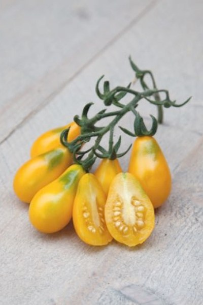 Paradajky, rajčiny žlté, hruškovité rajčiny, Yellow Pearshaped,