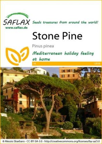 12918-pinus-pinea-seed-package-front-cr-english