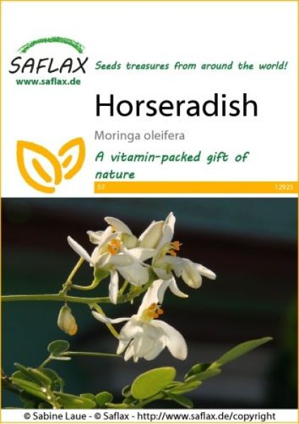 12925-moringa-oleifera-seed-package-front-cr-english