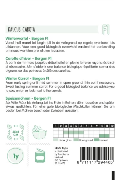 Mrkva neskorá, mrkva Bergen F1,