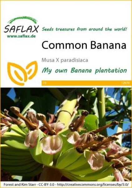 12979-musa-x-paradisiaca-seed-package-front-cr-english