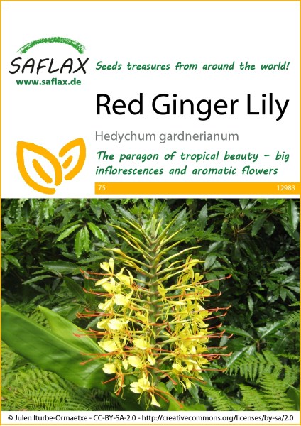 12983-hedychum-gardnerianum-seed-package-front-cr-english