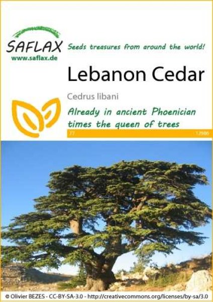12986-cedrus-libani-seed-package-front-cr-english