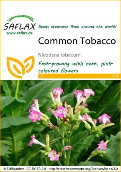 13218-nicotiana-tabacum-seed-package-front-cr-english