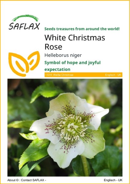 Helleborus niger, čemerica čierna, čemerica biela,