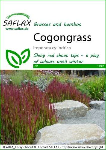 13307-imperata-cylindrica-seed-package-front-cr-english