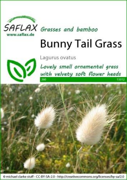 13312-lagurus-ovatus-seed-package-front-cr-english