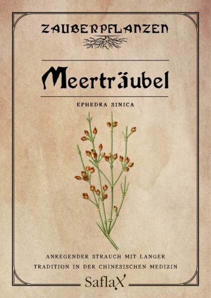 Ephedra sinica, Chvojník čínsky