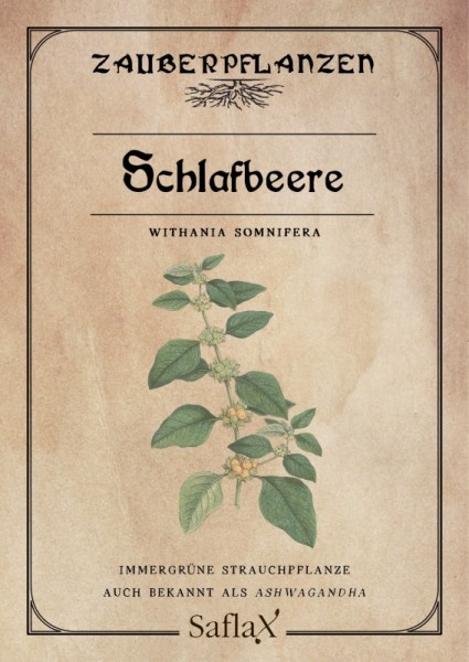 Withania somnifera, Ashwagandha, ašvaganda semená, 