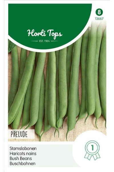 Semená fazuľa, kríčková fazuľa, struková fazuľa, zelená fazuľa,