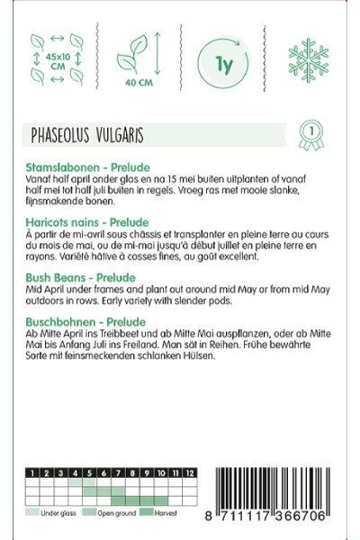 Semená fazuľa, kríčková fazuľa, struková fazuľa, zelená fazuľa,