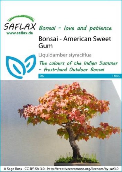 14005-liquidamber-styraciflua-seed-package-front-cr-english