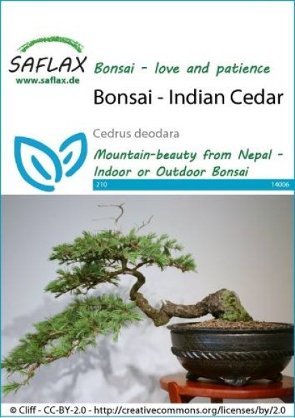 14006-cedrus-deodara-seed-package-front-cr-english