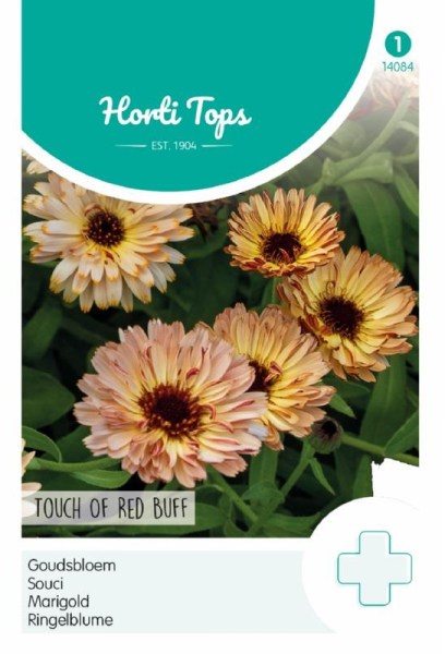 nechtík, semená nechtíku, marhuľový nechtík